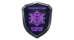 Neural Networks badge